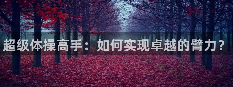 注册3377体育官方正版app:超级体操高手:如何实现卓越的