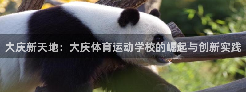 3377体育官方正版app集团官网首页网址:大庆新天地:大庆