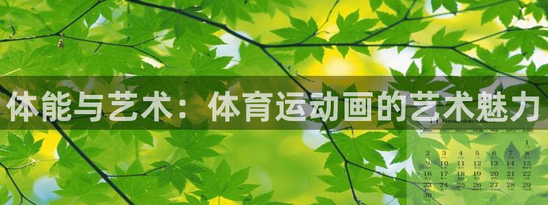 3377体育官方正版app神州:体能与艺术:体育运动画的艺术