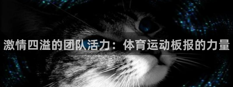 3377体育官方正版app集团官网首页网址:激情四溢的团队活