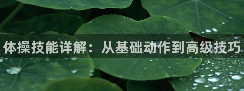 3377体育官方正版app娱乐40996:体操技能详解:从基