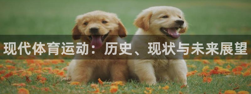 3377体育官方正版app开户:现代体育运动:历史、现状与未