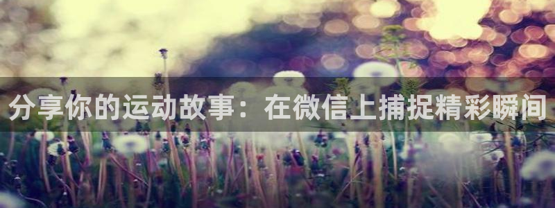 3377体育官方正版app集团简介:分享你的运动故事:在微信