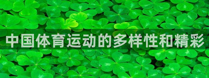 3377体育官网下载平台是正规平台吗:中国体育运动的多样性和